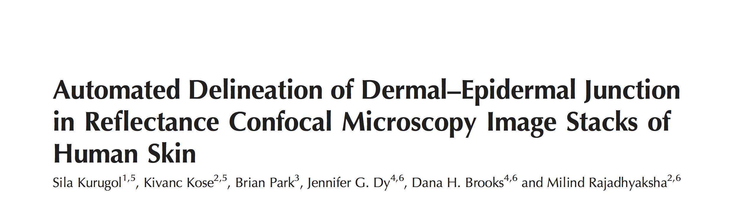 Automated Delineation of Dermal–Epidermal Junction in Reflectance Confocal Microscopy Image Stacks of Human Skin